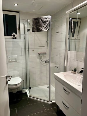 Hair dryer, towels, soap, toilet paper