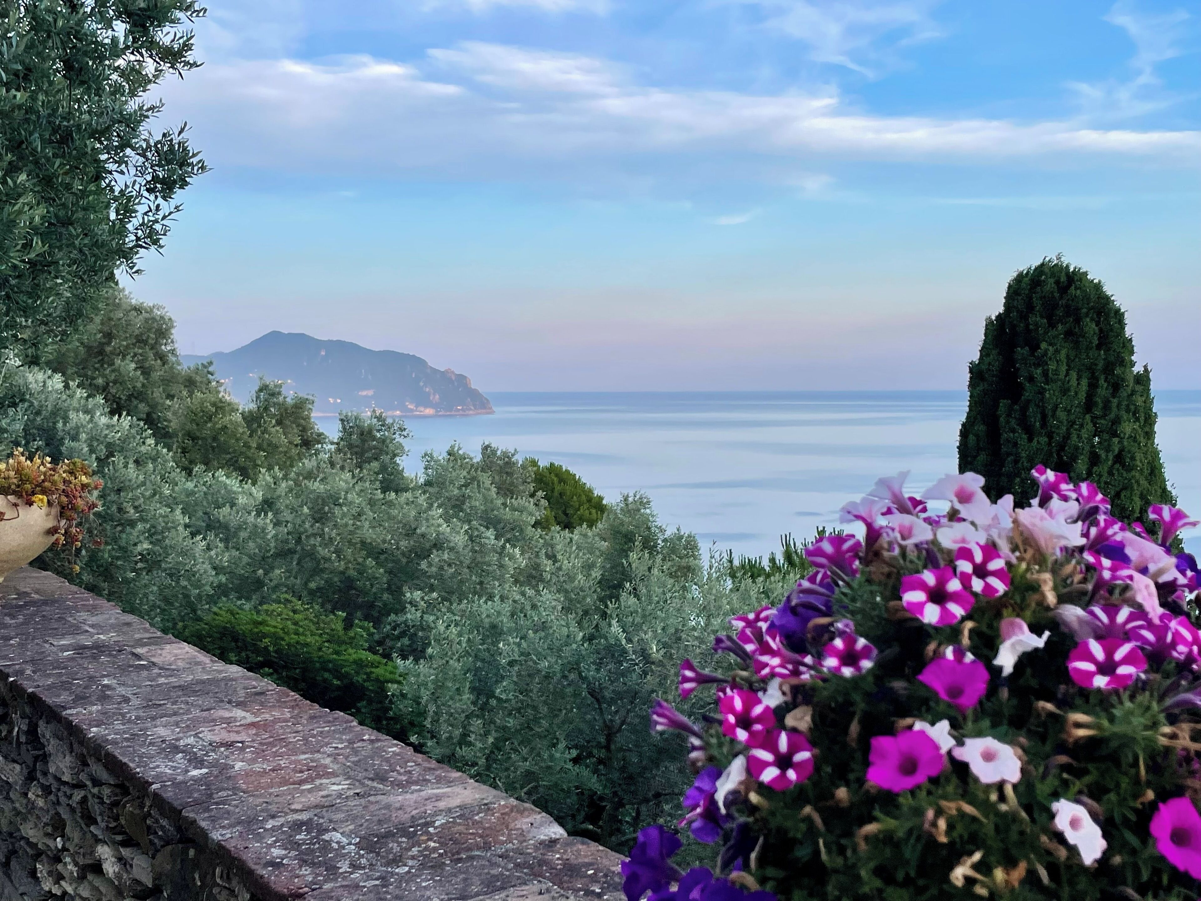 Vista dalla struttura