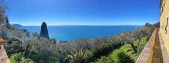 Sea view cottage among olive trees