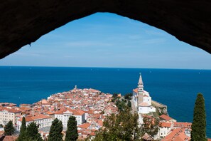 Miscellaneous - Double D Modern Family Apartment Near Koper (Koper)