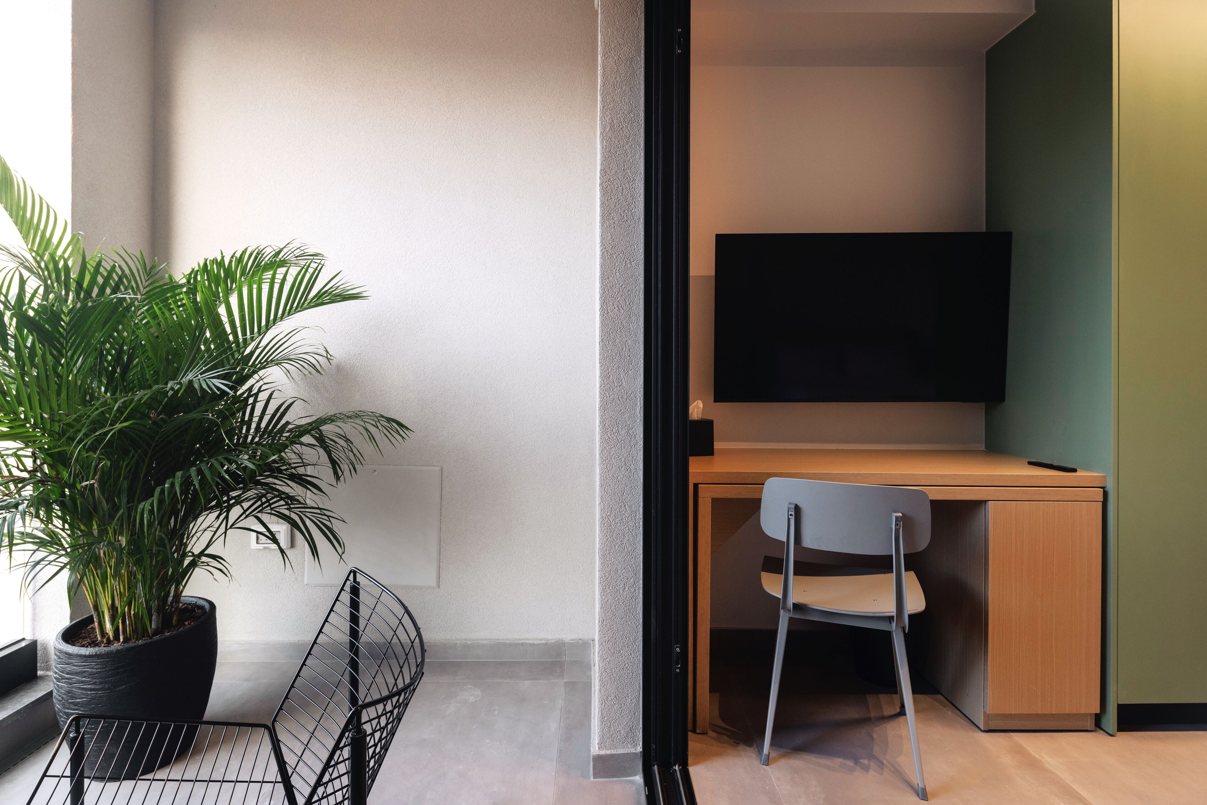 A modern room with a wooden desk, a black chair, a large potted plant, and a flat-screen TV mounted on the wall.