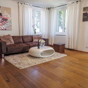 TV connectée, cheminée, livres, chaßne hi-fi