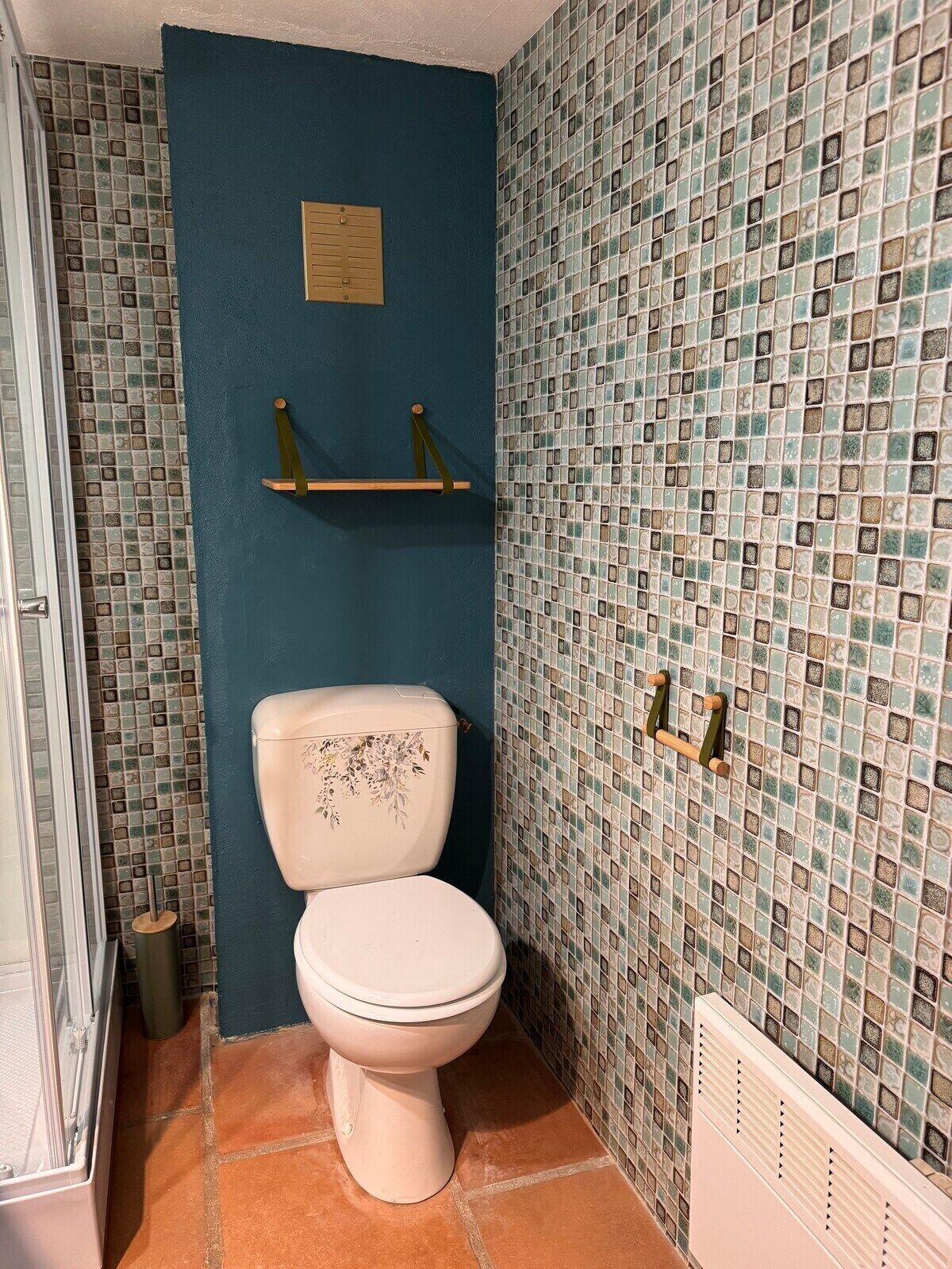 Une salle de bain avec des toilettes, un mur bleu et un pare-feu en carrelage.