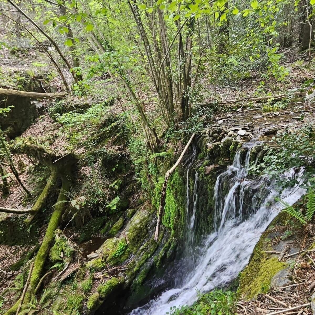 A natural waterfall in a forested area with moss-covered rocks and trees.