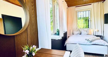 Room for 2 in a Comfy Villa w/ Garden near Danube