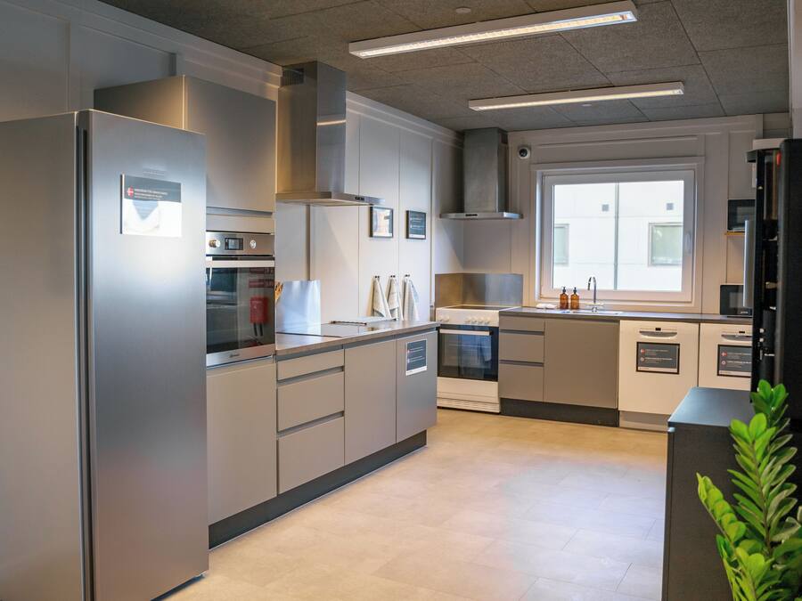 A modern kitchen with stainless steel appliances, a large window, and a plant.