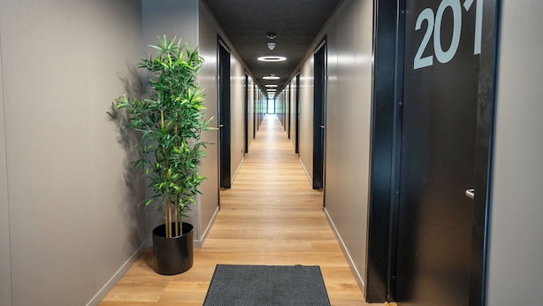 Un couloir moderne avec un plancher en bois, une plante en pot et une porte portant le numéro 201.
