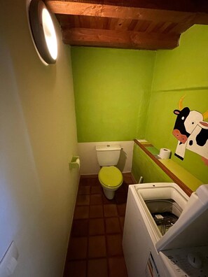A small bathroom with a green wall, a toilet, and a washing machine. - Le Gite du Moulin A haven of peace in the heart of the Cévennes (Aumessas)