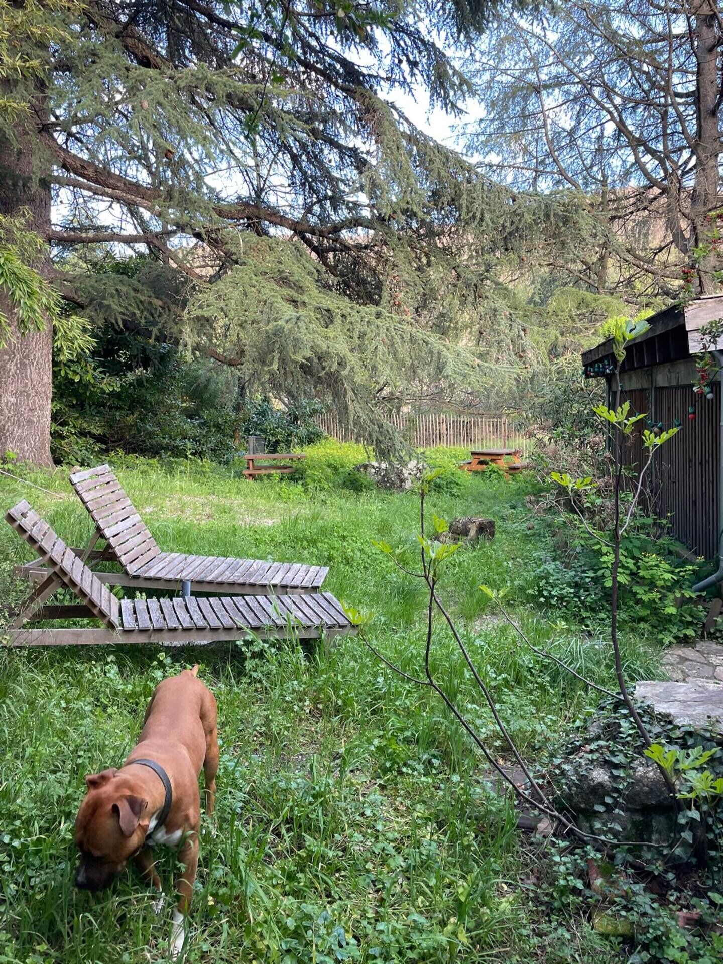 Parco della struttura