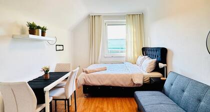 Spacious Room in Garden Villa – Walk to the Danube
