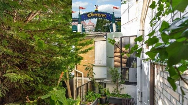 A view of a building with a Disney sign, a small garden area with plants, and a paved walkway.