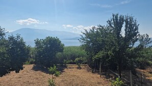 A vineyard with rows of grapevines and a clear view of a mountain in the distance. - Lakeside View Apartment (Udënisht)