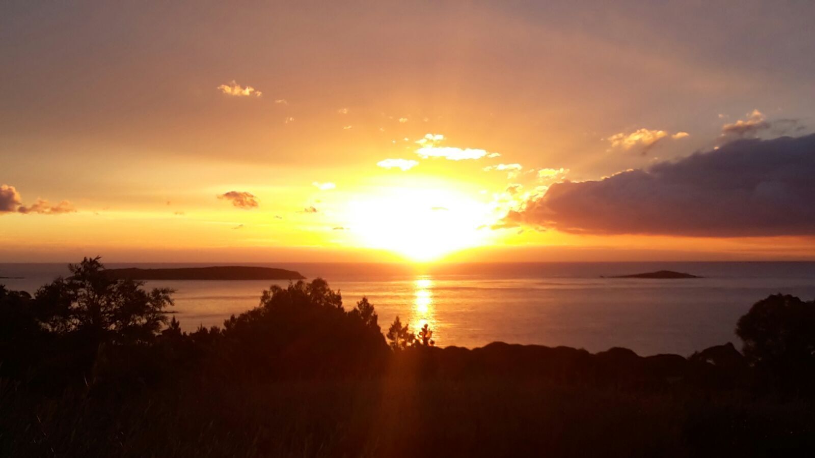 Ein Sonnenuntergang über einem ruhigen Meer, mit Baum-Silhouetten und einer entfernten Insel.