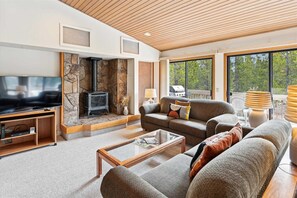TV, fireplace