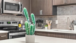 A kitchen with a microwave, stove, and a potted cactus on the counter.