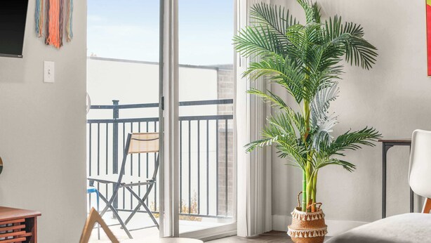 A modern living room with a large window, a potted plant, and a view of the balcony.