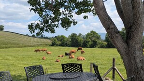 Un campo cubierto de hierba con vacas, un árbol y una mesa con sillas.