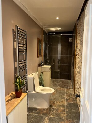 Shower, hair dryer, towels, soap - Jackdaw Cottage, fully restored traditional Irish cottage (Ballyward)