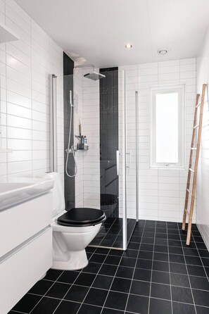 Shower, hair dryer