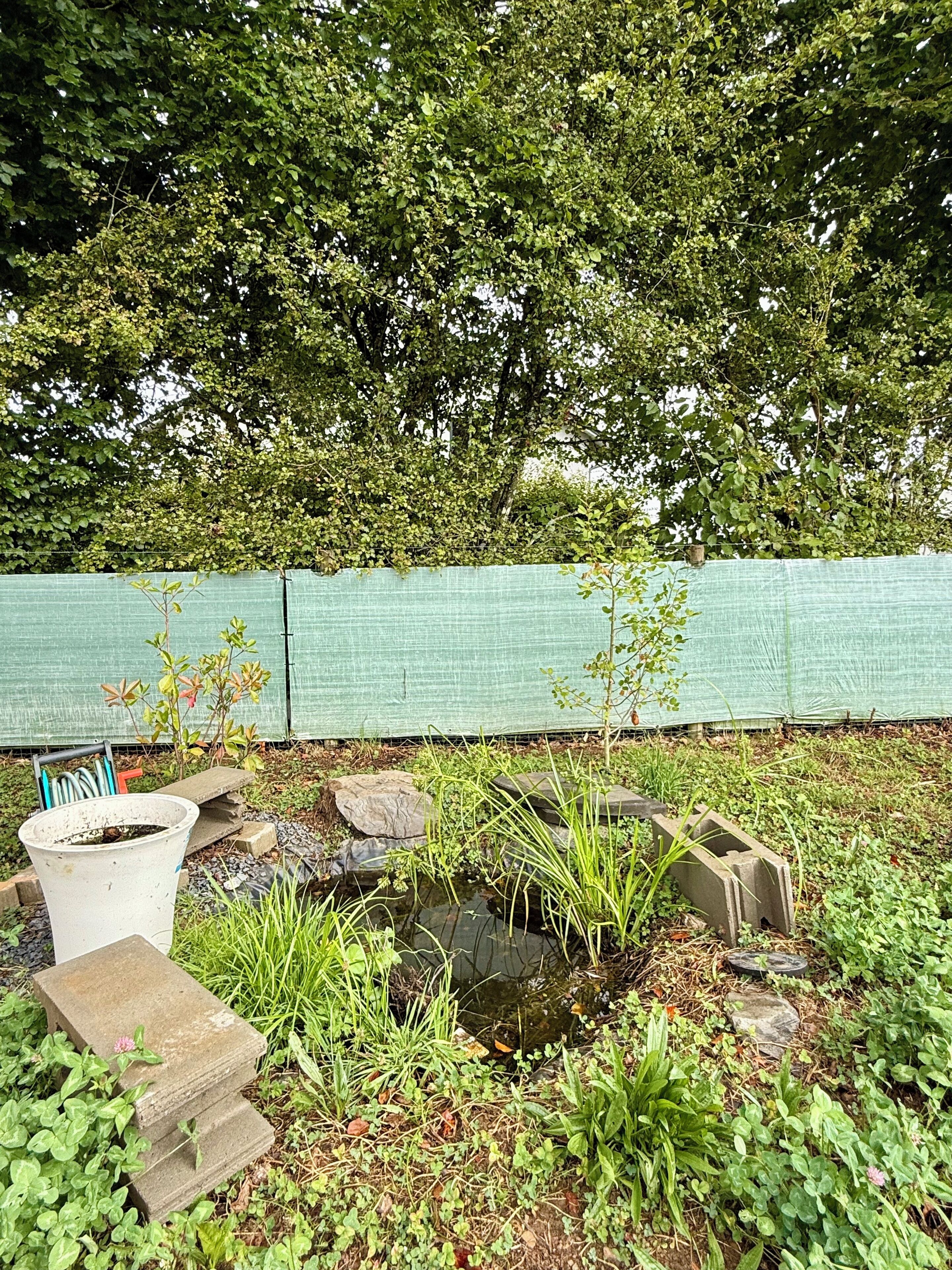 Ein Garten mit Teich, umgeben von Pflanzen und einem grünen Zaun.