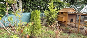 Zen House Clervaux Castle at 10 min