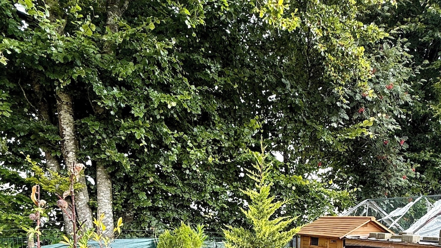 Zen House Clervaux Castle at 10 min