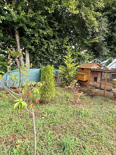 Zen House Clervaux Castle at 10 min