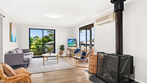 TV, fireplace, DVD player, books