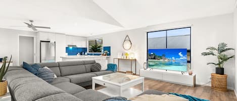 TV, fireplace, DVD player, books