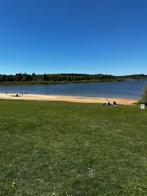 Eine Wiese mit einem See, einem Sandstrand und einem Wald im Hintergrund.