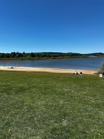 A grassy area with a lake, a sandy beach, and a forest in the background.. Apartment 'Westerwaldnest' with Wi-Fi