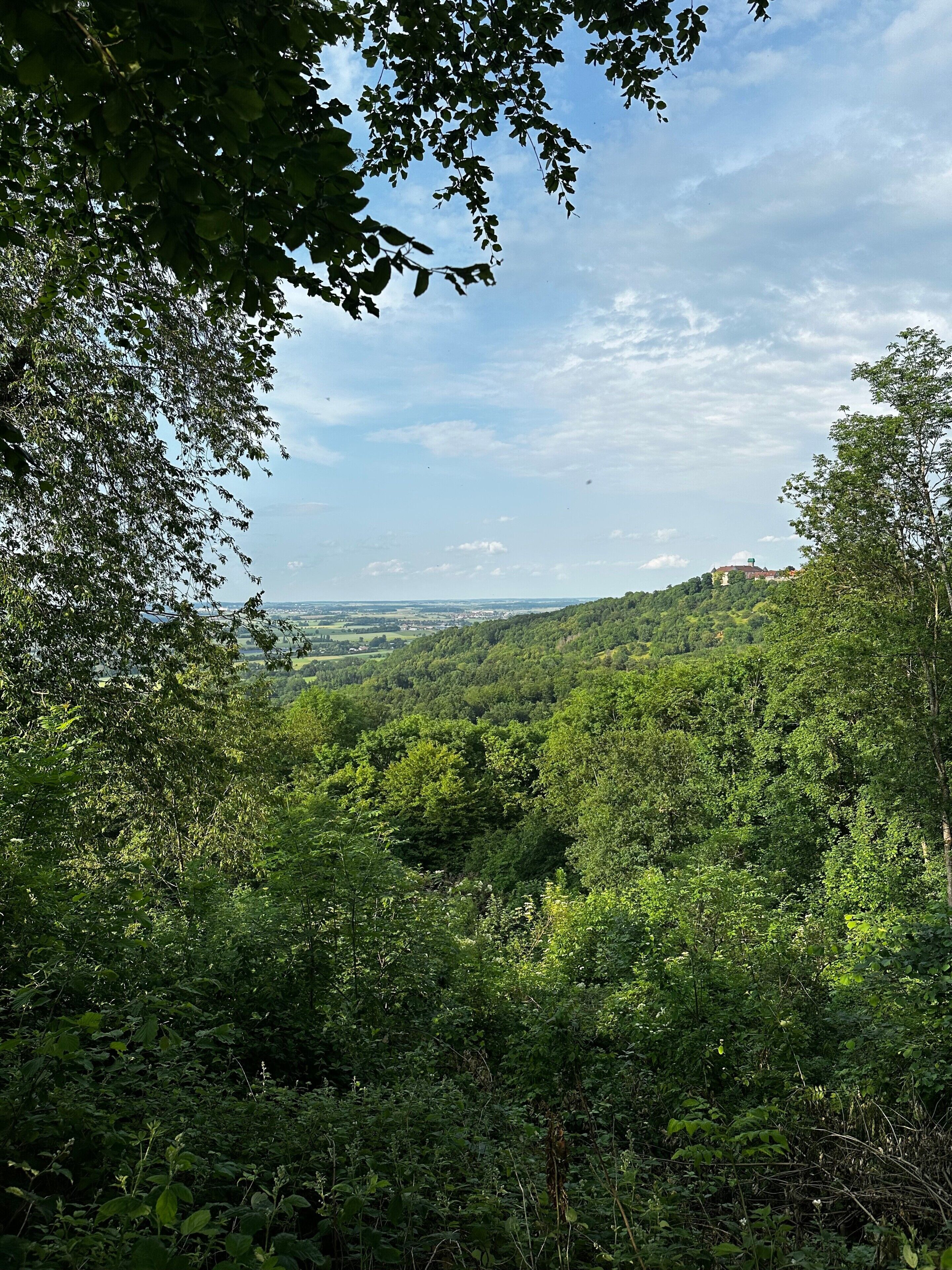 Üppige grüne Landschaft mit dichtem Grün und ein weiter Blick auf einen Hügel mit einem Gebäude.