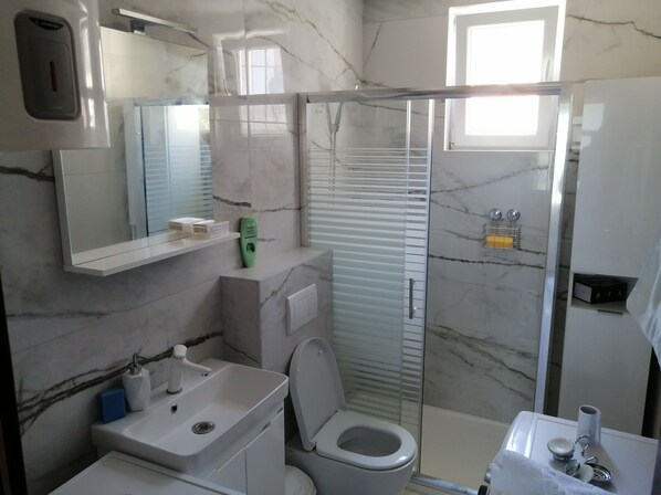 Hair dryer, towels, soap, toilet paper