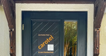 Carotel Industrial Style meets Waldesruhe with a dog