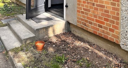 carotel Industrial Style trifft Waldesruhe
gern mit Hund