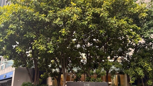 The Gramercy Residences, mit einem Schild, umgeben von üppigem Grün und einer Backsteinmauer.