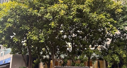 Penthouse 2 bedroom unit with balcony