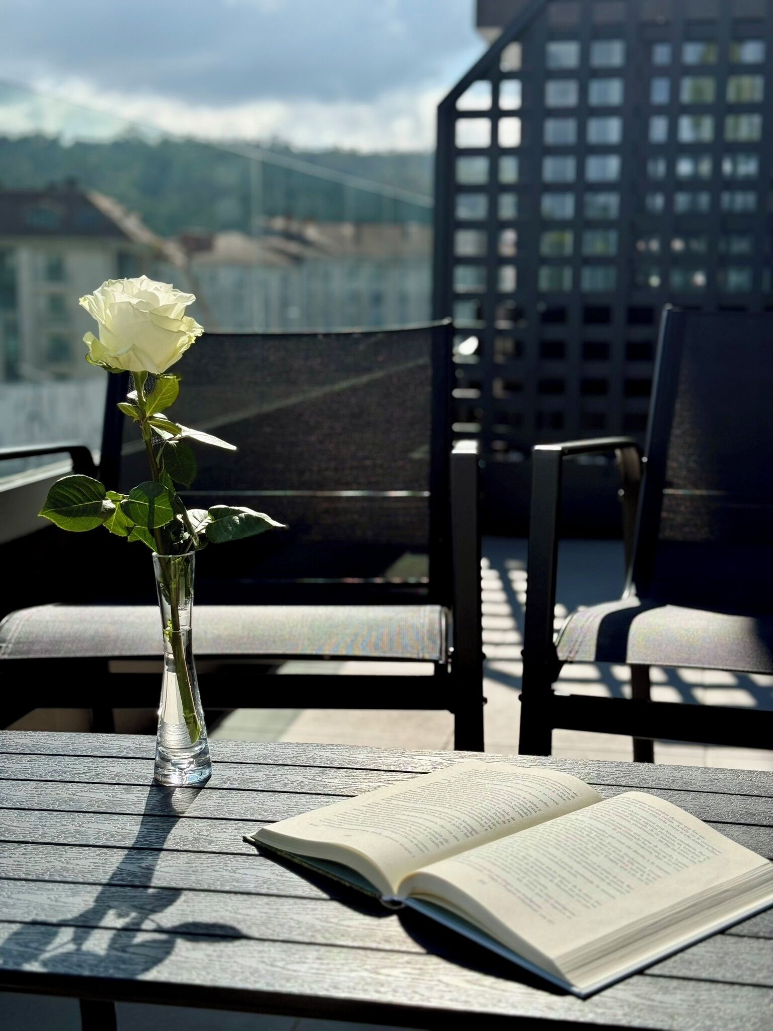 Superior studio, terras | Terras