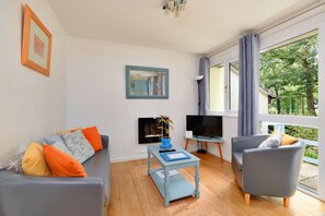 Fernseher