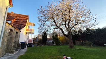 Verschiedenes