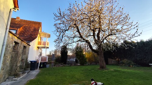 Vacation home for families/groups with sauna, oven and large garden with barbecue