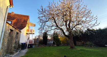 Vacation home for families/groups with sauna, oven and large garden with barbecue