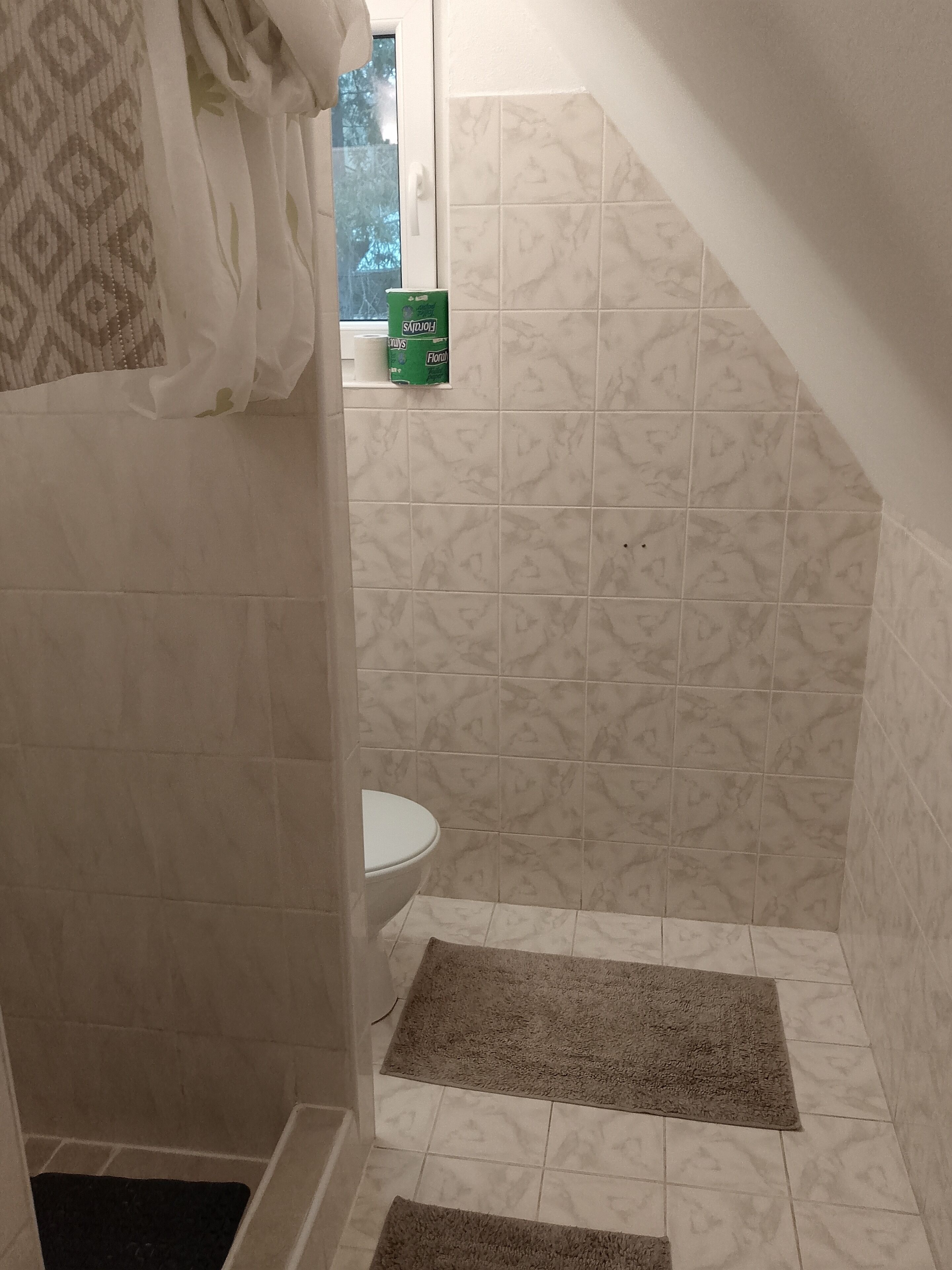 Casa de banho com sanita, zona de duche com parede de azulejos estampados e janela com vista para árvores.