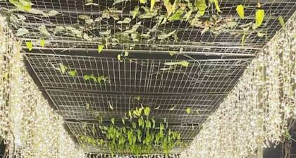 Stunning Suite 10 Steps from Eastwood Mall