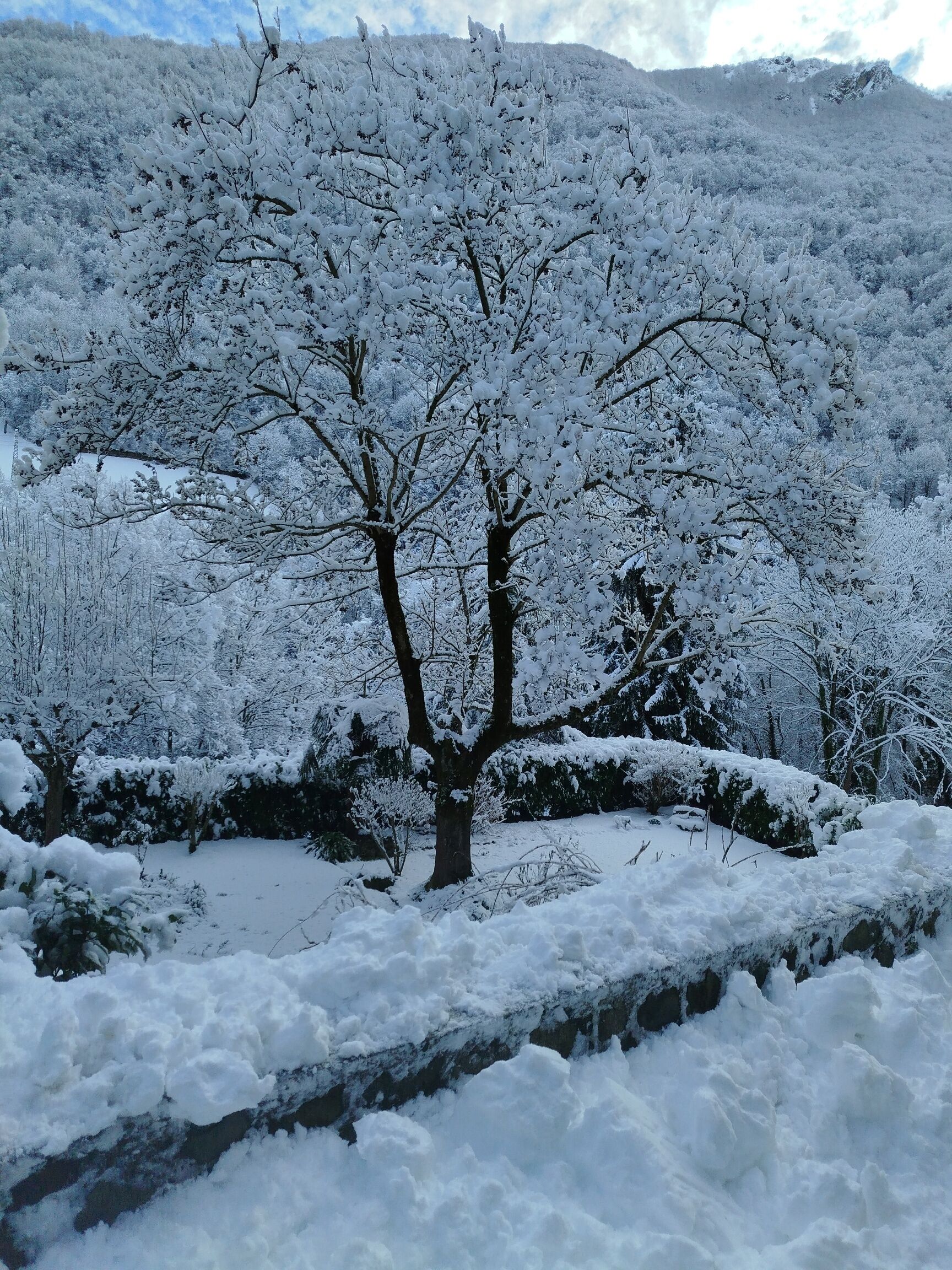 Overnatningsstedets område