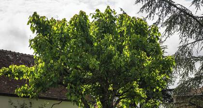 Maison TENERYL renovated farmhouse