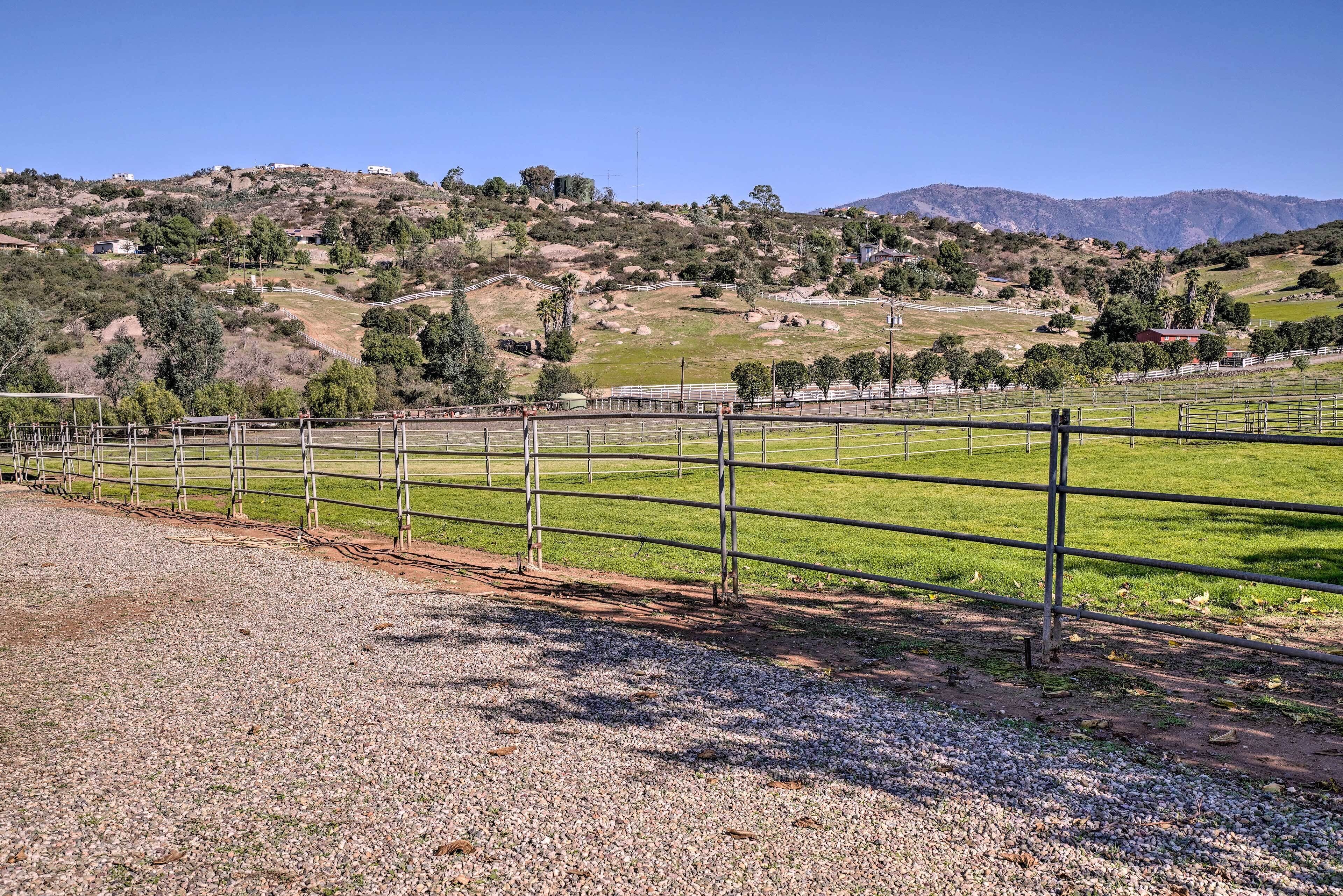 A fenced outdoor area with a gravel path, green grass, and a hilly landscape with trees and buildings in the background.
