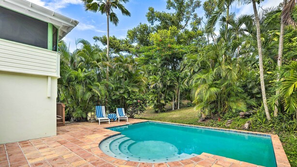 A swimming pool with a tiled deck, surrounded by lush greenery and palm trees. - Bright St Thomas Getaway W/pool, 3Mi to Magens Bay (St. Thomas)