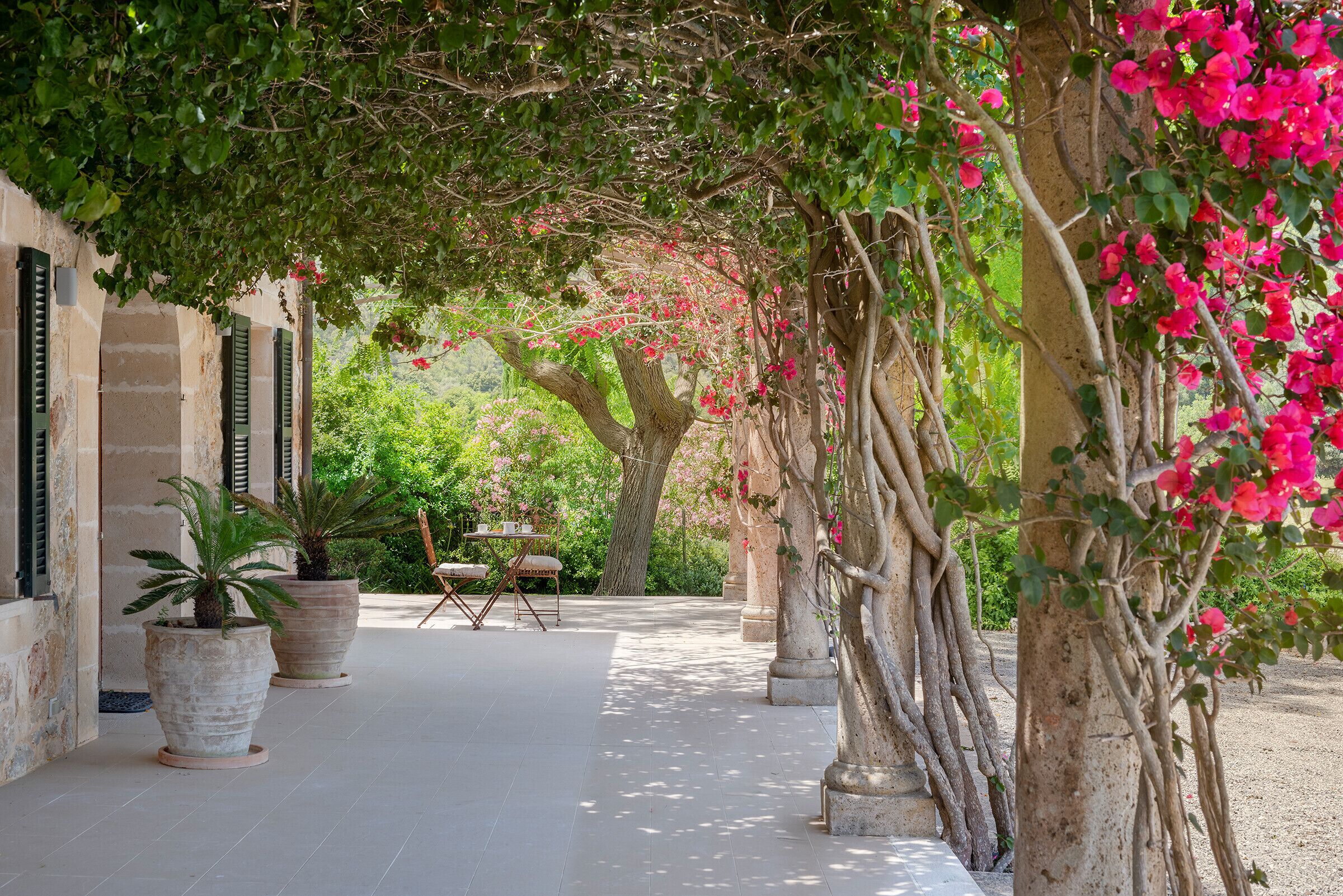 A covered outdoor area with potted plants, a table, and chairs.