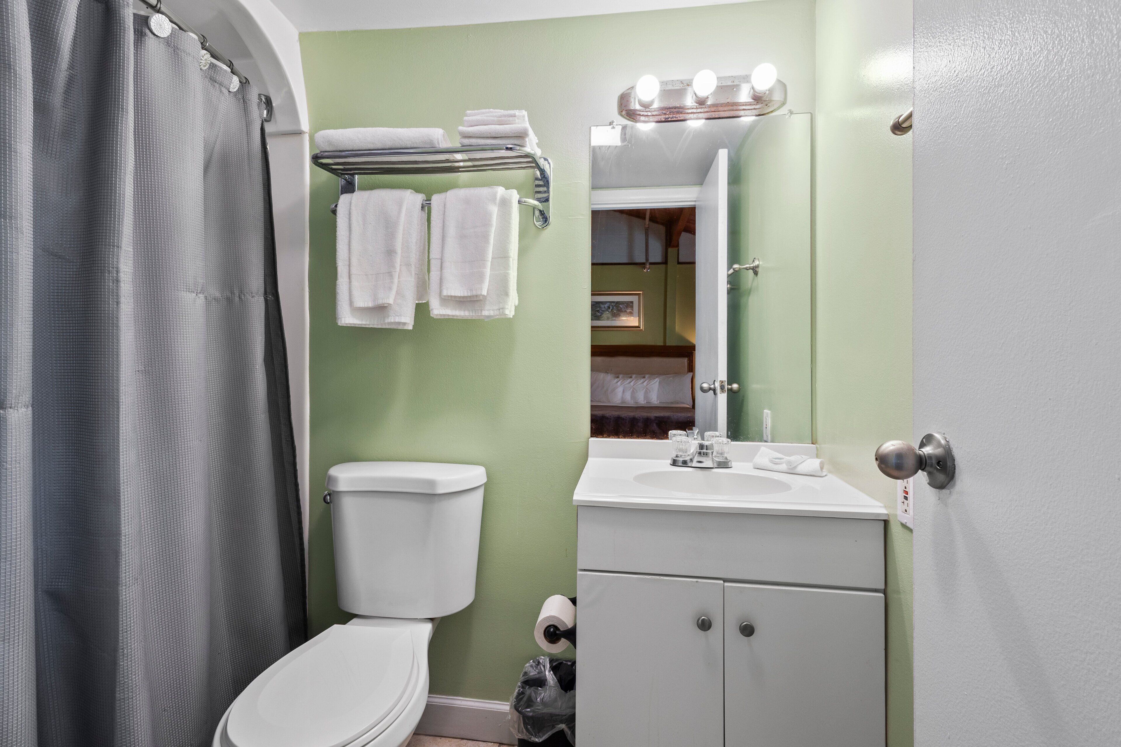 A bathroom with a toilet, sink, and shower curtain.